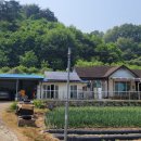 두동공인중개사사무소 이미지