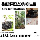 운호농장 | 원 패키지 &lt;부아느로&gt; 이벤트 30% 지원 #전라도 #운호레지던스 #부아느로 #이레농원 #포레도 #꽃신족욕...