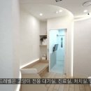 마석동물병원 네이버블로그