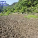 진전면932 이미지