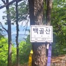 회남면사무소 이미지