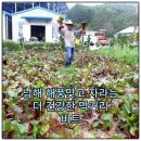 해울림영농조합법인 이미지