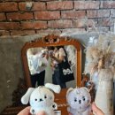 황순애신토불이떡볶이 이미지