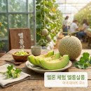 옥과축산 | 전남 여행 어디 갈까? 생생정보 나온 곡성 장미축제·멜론체험·한우 맛집 코스 정리