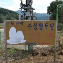황룡강제방길 Daum카페