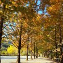 더 좋은날 n 캠핑 이미지
