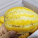 세영농장 이미지
