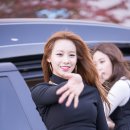 베스티호텔 Daum카페