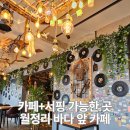 드보라 게스트하우스 | 제주 월정리 바다 앞 카페 서핑 가능한 월정 서프서프