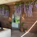 꼬꼬네농장 | 당진 대형카페 당진 카페 추천 망고빙수 맛집 당진 카페로우 내돈내산 솔직후기