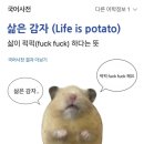 거덕 | 2025년 1월 마무리 / 일본 오사카 여행 후기