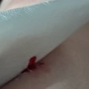 양지-3108 | 반가웡 새로운 나의 이쁜아 ૢ꒰⸝⸝ɞ̴̶̷ ·̮ ‹⸝⸝✿꒱