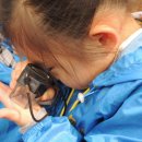 화인유치원 이미지