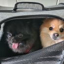 오미네커피 이미지