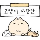판포레스트 네이버블로그