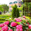 부천자연생태공원 이미지