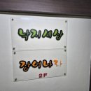 낙지세상 장어나라