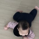 하대동167 | 진주 소파청소 추천 청선 아기있는집 홈케어 전문업체 한샘소파청소후기