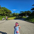 북부어린이집 | 오키나와 북부 렌터카 투어 | 추라우미수족관 카페 오션블루, 일본 코코스 레스토랑, 돈키호테 나고점