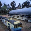 서망항1 이미지