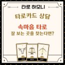 타로카드상담 이미지