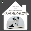 고프지분식 | 이탈리아 베지타블 가죽과 웨빙으로 고급진 실버 GOPE 목줄과 리쉬 풉백세트