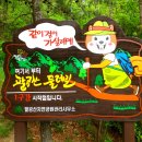 갓바위주차장 이미지