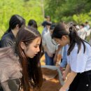 은봉초등학교 | 우리들자연학교 5월 11일 은봉초등학교 수업후기