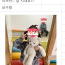 모리폴리 이미지