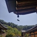 수리뫼 | [경주 맛집] 한식의 전통, 문화, 철학이 한곳에 모이다. 박미숙 명인의 수리뫼!