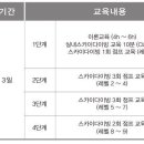 이근 대위 해명으로 알아보는 스카이 다이빙 교육 비용 이미지