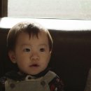 아기와나 이미지