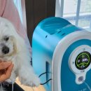 옥시메디 이미지