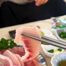 완도산회 특급포차 가락본점 | 가락시장역 먹을만한 곳 완도산회 특급포차 가락본점 방어 후기