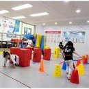 고려 태권도 체육관 이미지