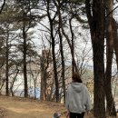 칠보식당 이미지