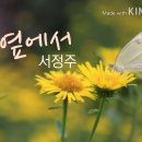 수목정 Daum카페