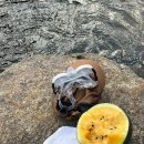 지리산 벚꽃 카라반 캠핑장 이미지