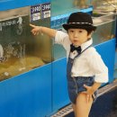 오렌지마트 면목점 | 홈플러스 스테프 핫도그 맛있눼ㅎㅎ
