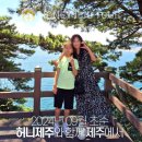 제주다정여행사