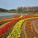 신기초등학교 이미지