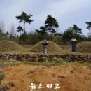충화 류희철 부부묘 | 부여군, 2018년 향토문화유산 3개 유적 지정