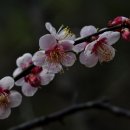 용산리 이미지