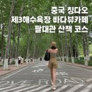 돌머리해수욕장 입구 가로수길 | 칭다오 제3해수욕장 오션뷰 카페 팔대관 산책코스 고덕지도