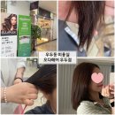 춘천 우두동 미용실, 모발클리닉 슬기 부원장님 후기