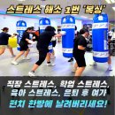 참피온키즈태권도 | 개신동·모충동에서 즐기는 복싱 다이어트 /헬스/요가/필라테스/스피닝/킥복싱/유도/주짓수/태권도/합기도