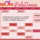 헤이츄폴댄스아카데미 네이버블로그