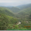 양구군청(두타연 평화누리길) 티스토리