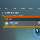 중일슈트