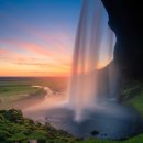 보노포스 이미지